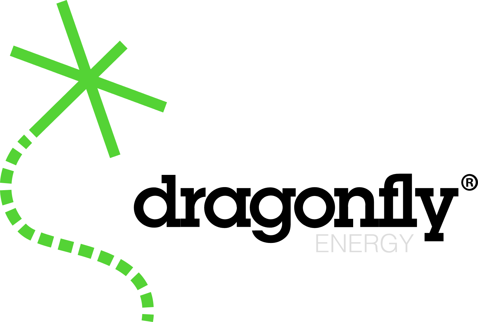 Dragonfly Energy logo large (transparent PNG)