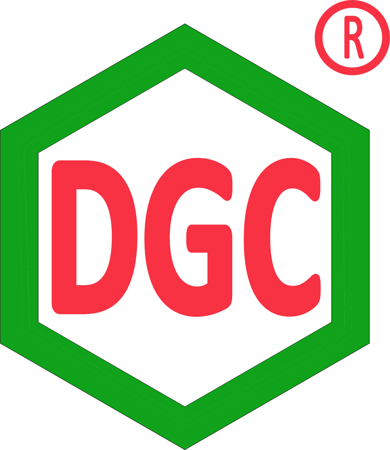 Duc Giang Chemicals Group logo large (transparent PNG)