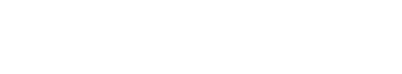 DigiPowerX Logo groß für dunkle Hintergründe (transparentes PNG)