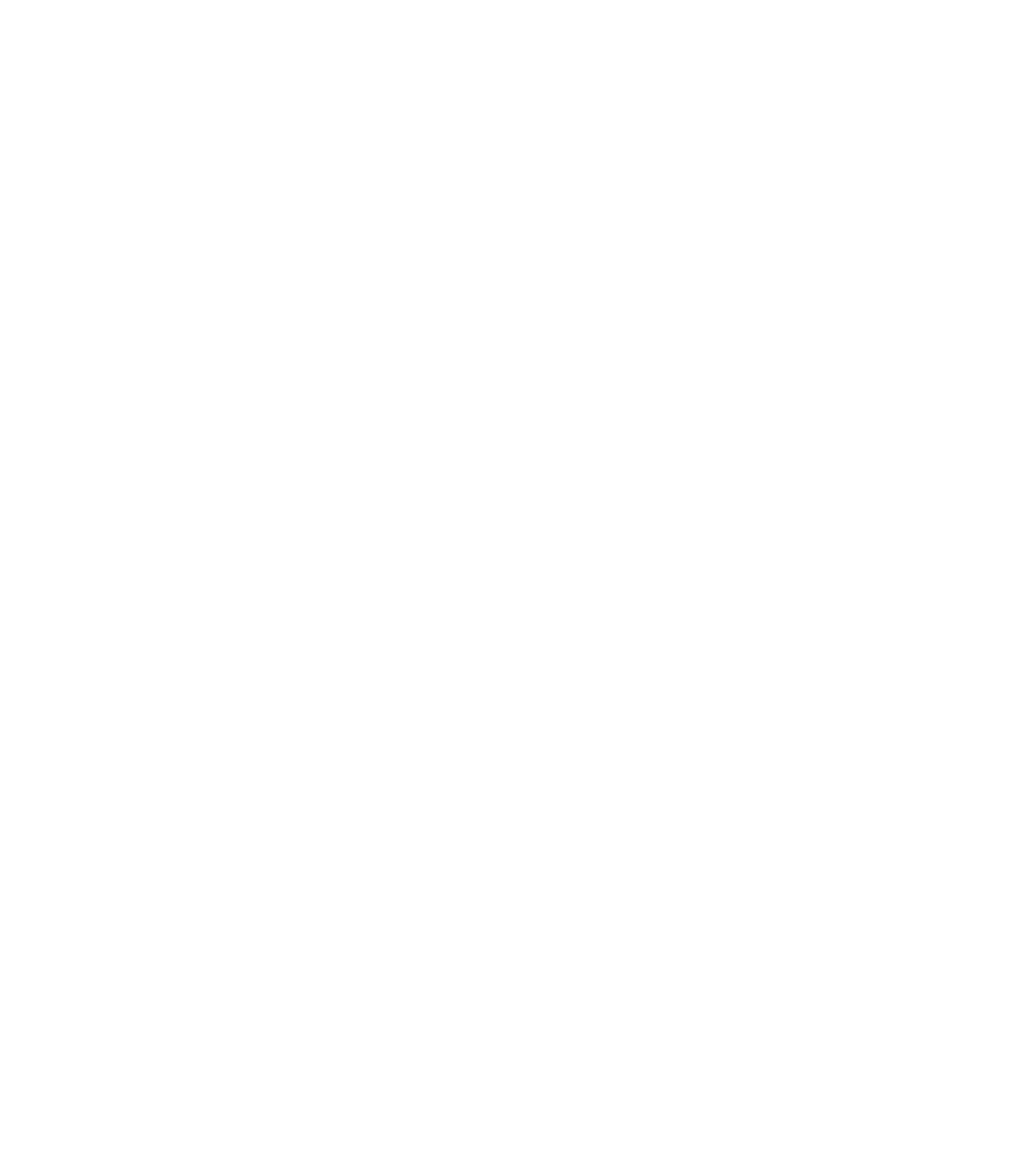 DiaSorin Logo für dunkle Hintergründe (transparentes PNG)