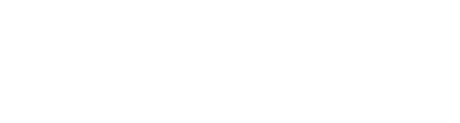 DiaSorin logo grand pour les fonds sombres (PNG transparent)