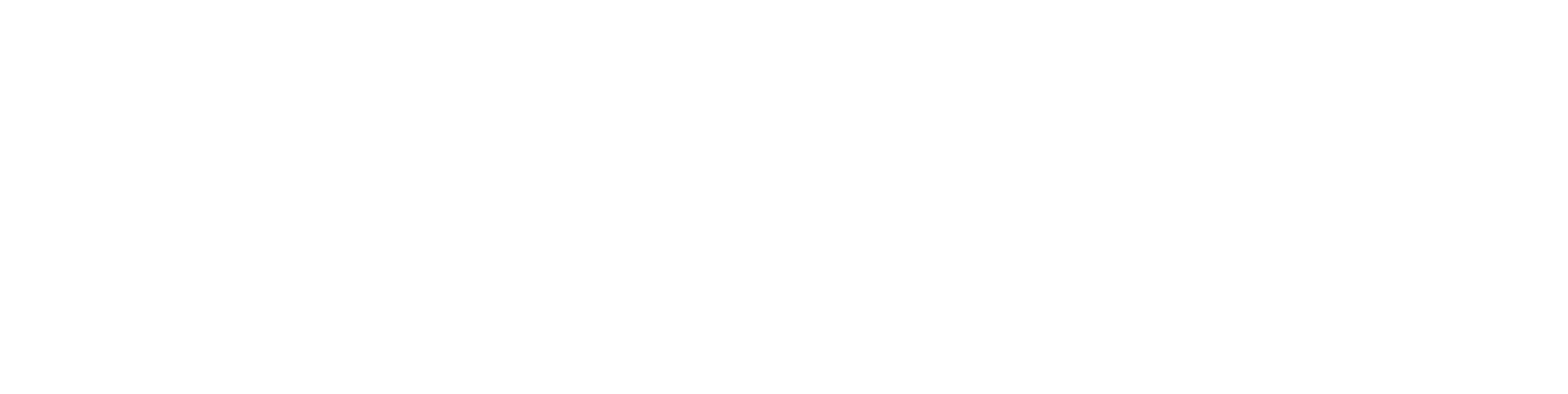Digital Bros Logo groß für dunkle Hintergründe (transparentes PNG)
