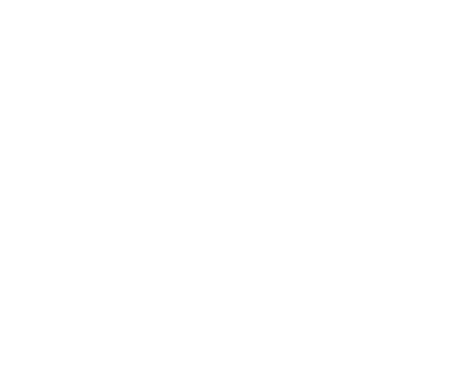 DiDi logo pour fonds sombres (PNG transparent)