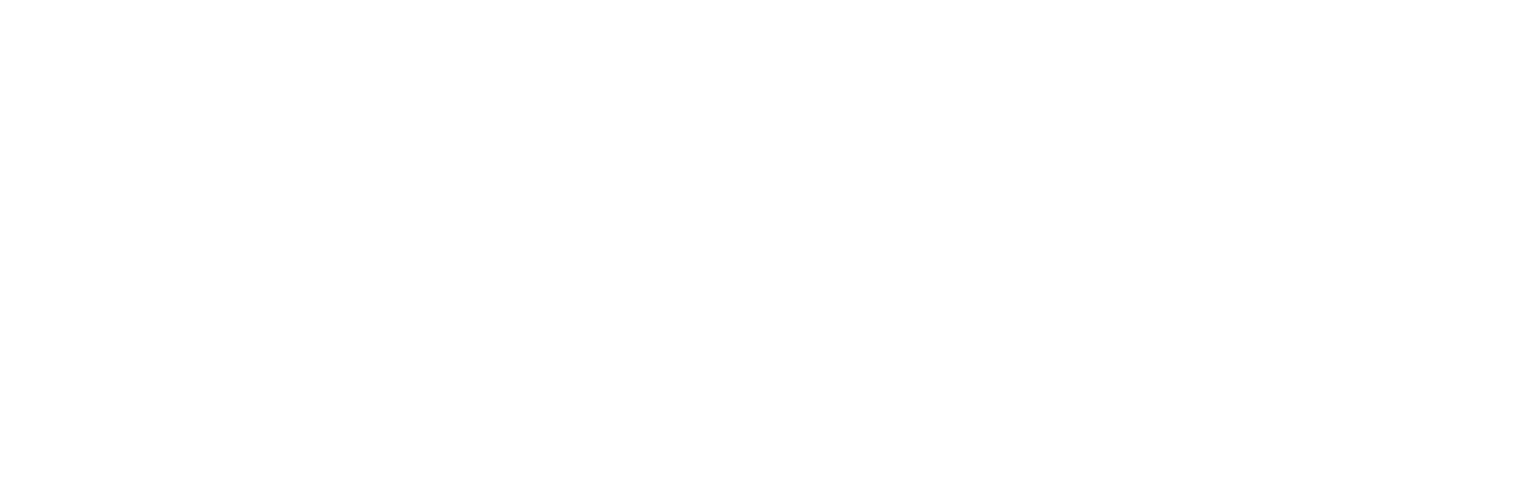 DiDi Logo groß für dunkle Hintergründe (transparentes PNG)