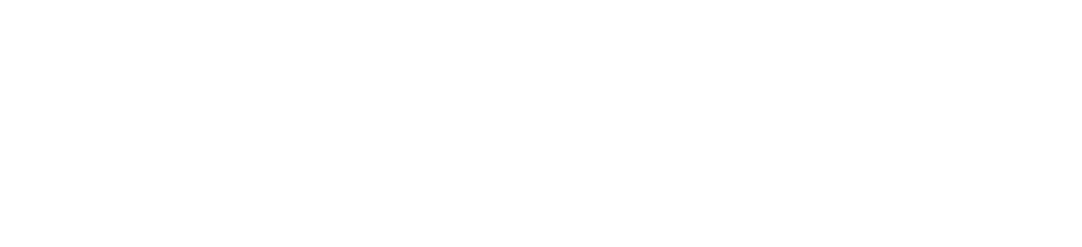 dLocal logo grand pour les fonds sombres (PNG transparent)