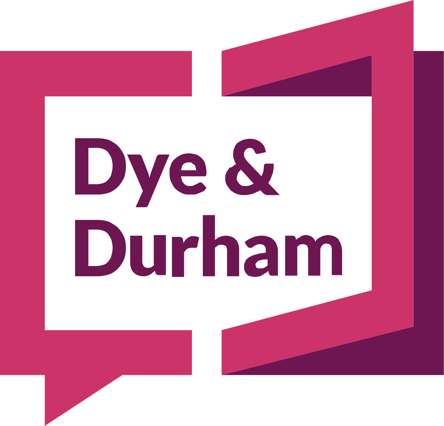 Dye & Durham Logo (transparentes PNG)