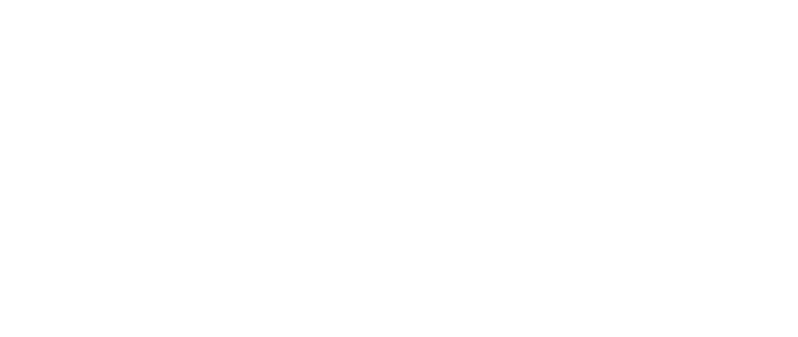 NOW Inc. Logo groß für dunkle Hintergründe (transparentes PNG)