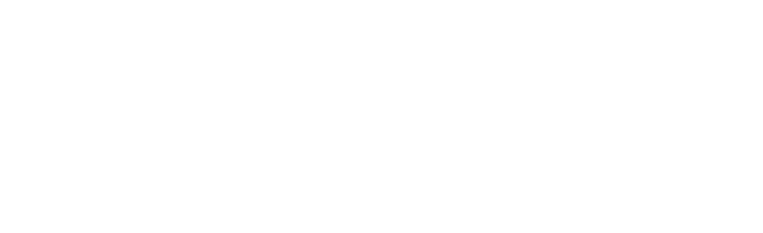 Industrie De Nora logo grand pour les fonds sombres (PNG transparent)