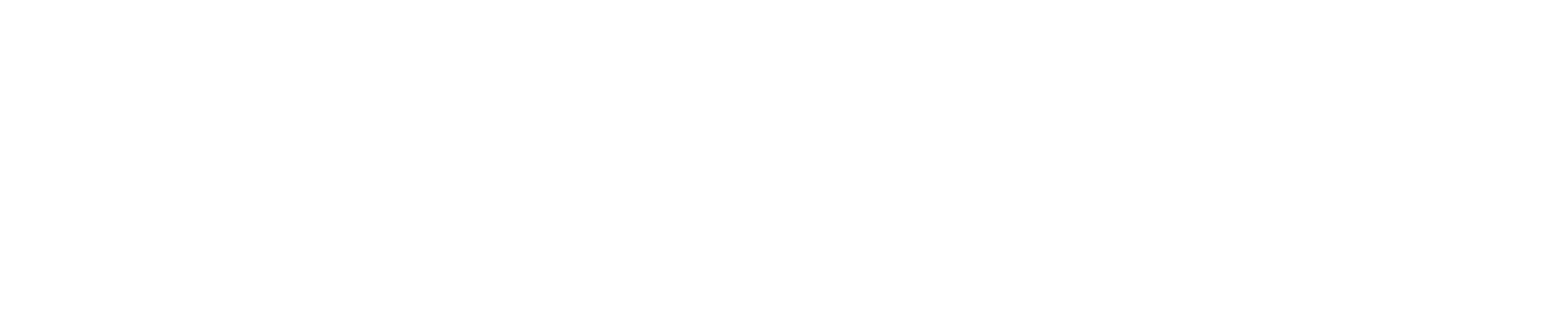 DocuSign logo large for dark backgrounds (transparent PNG)