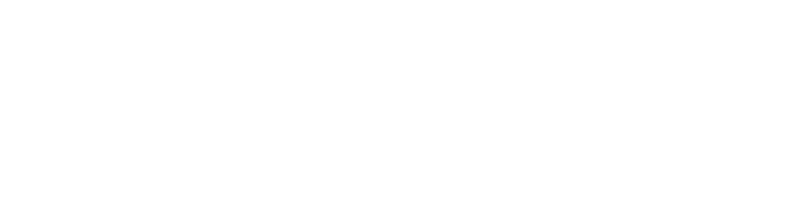 Dollar Industries Logo groß für dunkle Hintergründe (transparentes PNG)