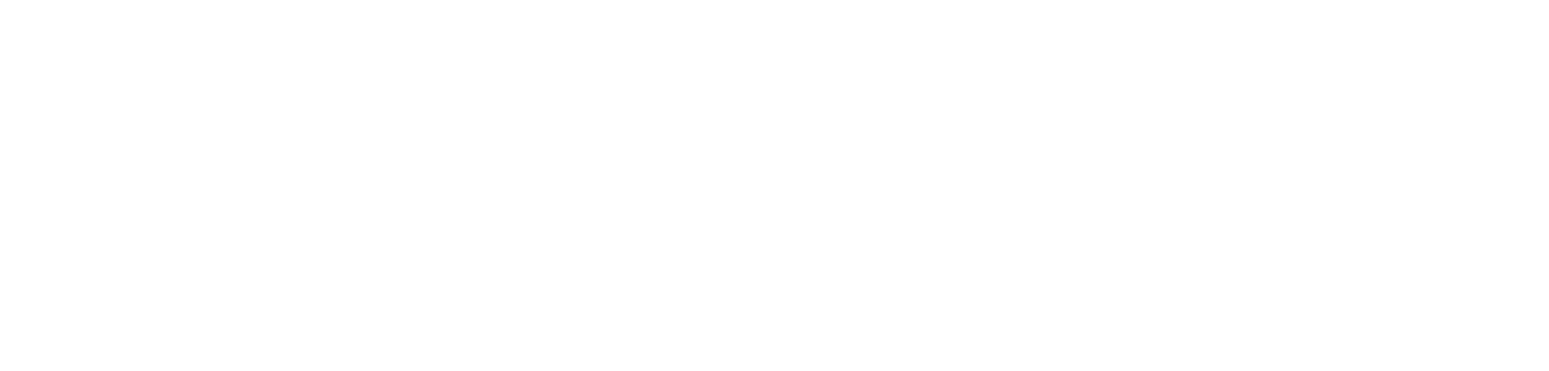 DroneShield Logo groß für dunkle Hintergründe (transparentes PNG)