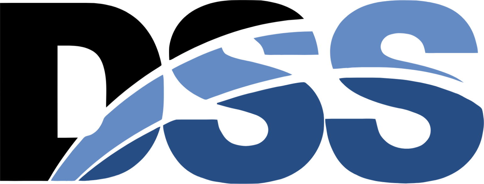 Document Security Systems
 Logo (transparentes PNG)