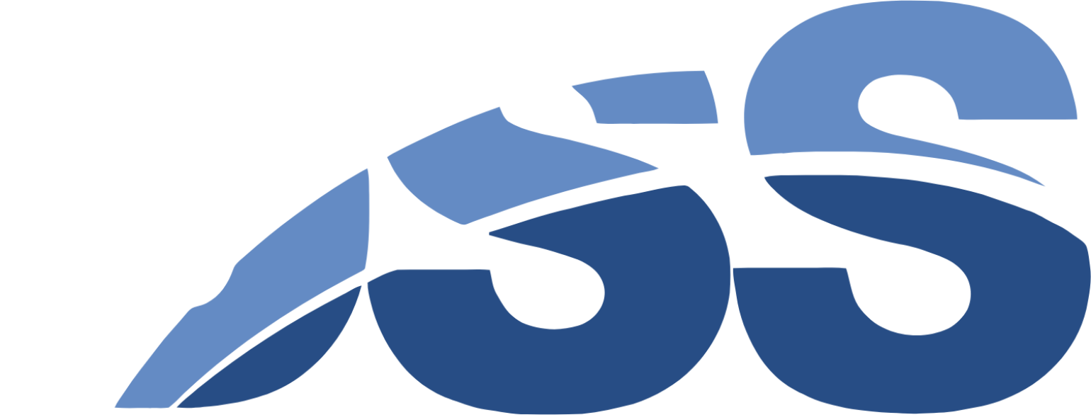 Document Security Systems logo in transparent PNG and vectorized SVG