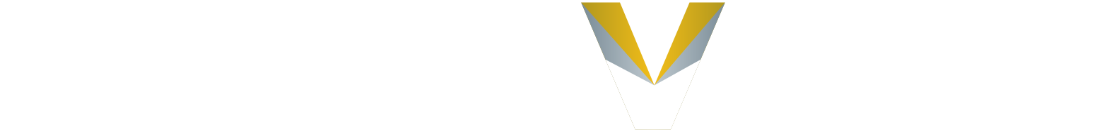 Discovery Silver Corp. logo grand pour les fonds sombres (PNG transparent)