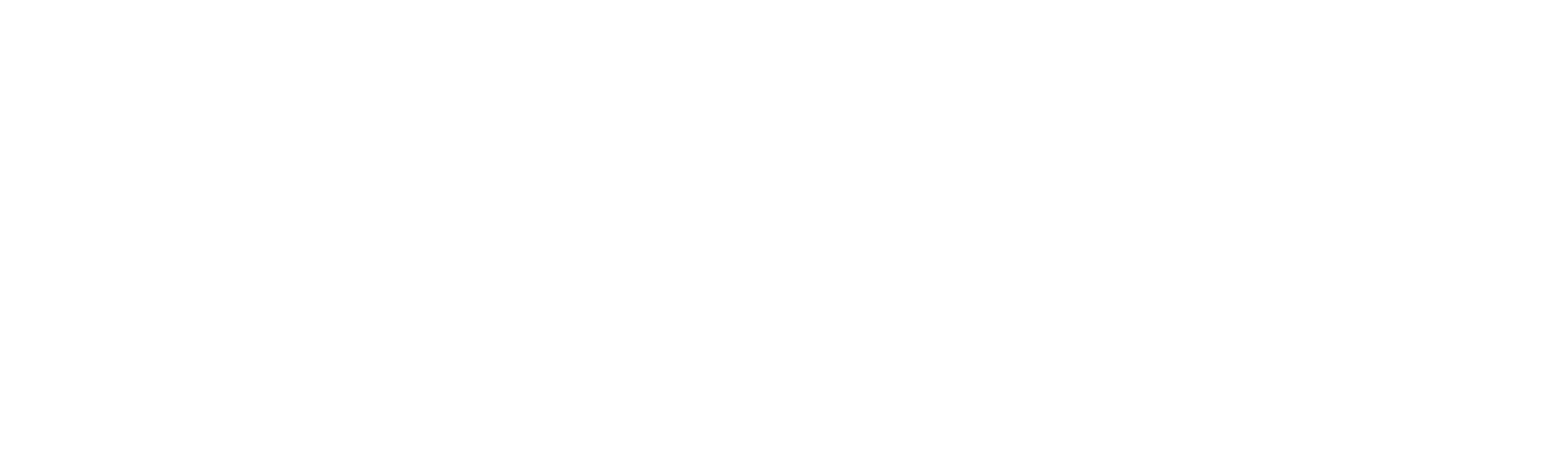 DSV logo for dark backgrounds (transparent PNG)