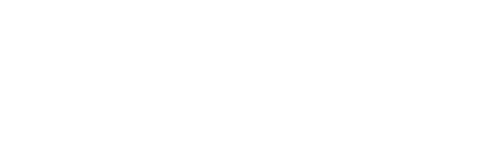 Dassault Systèmes logo large for dark backgrounds (transparent PNG)