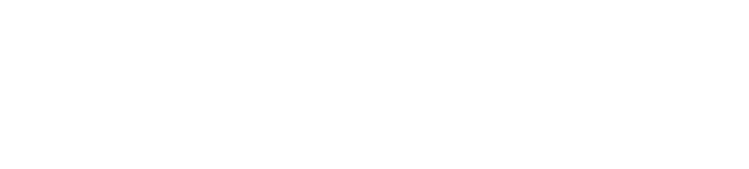 Dürr logo large for dark backgrounds (transparent PNG)