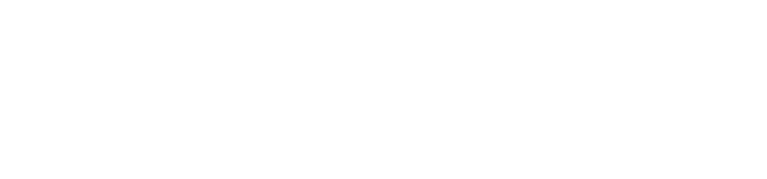 Duolingo logo large for dark backgrounds (transparent PNG)