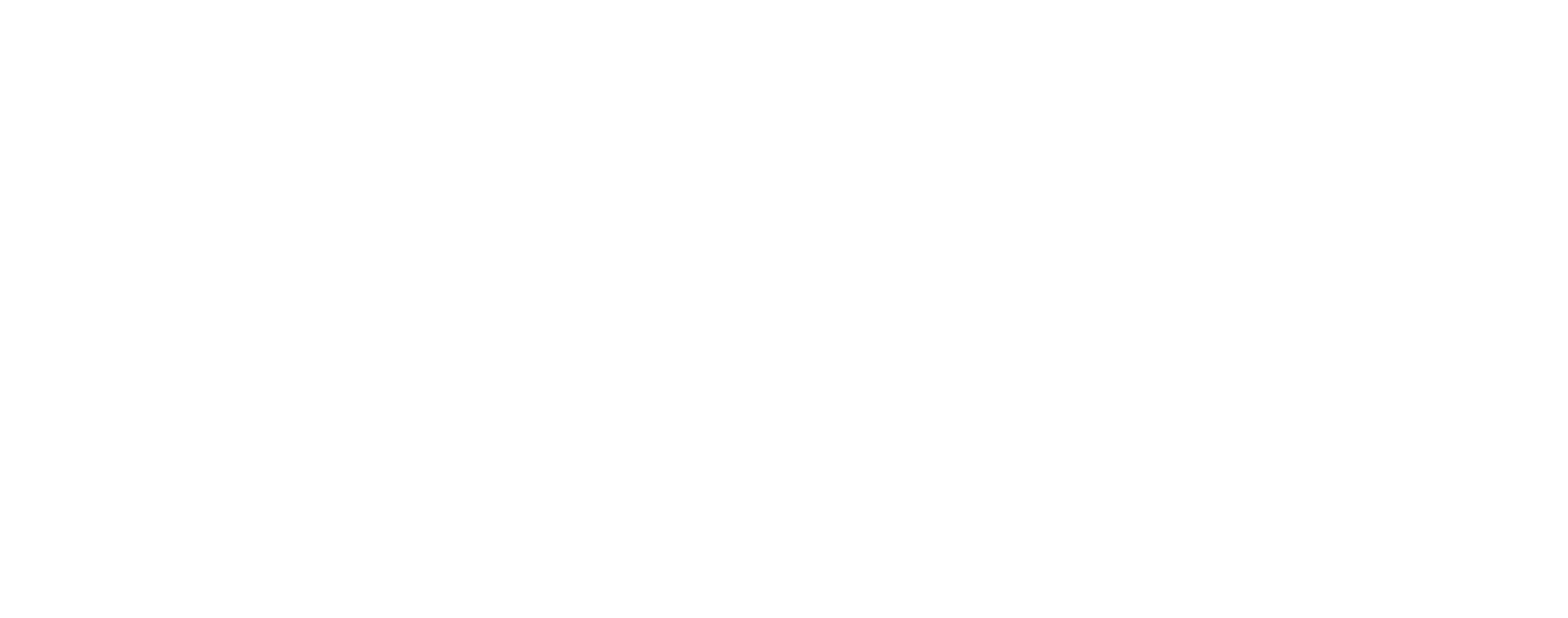 DZS Inc Logo für dunkle Hintergründe (transparentes PNG)