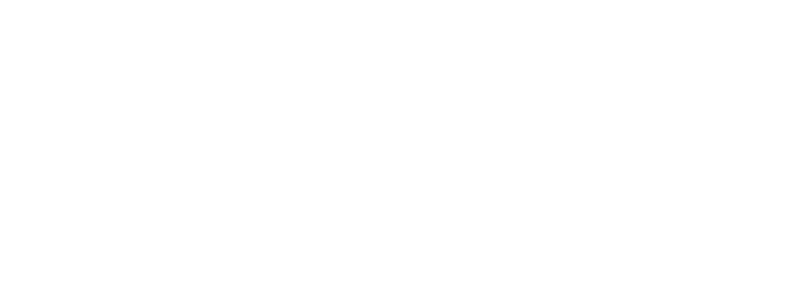 Dominion Energy logo large for dark backgrounds (transparent PNG)