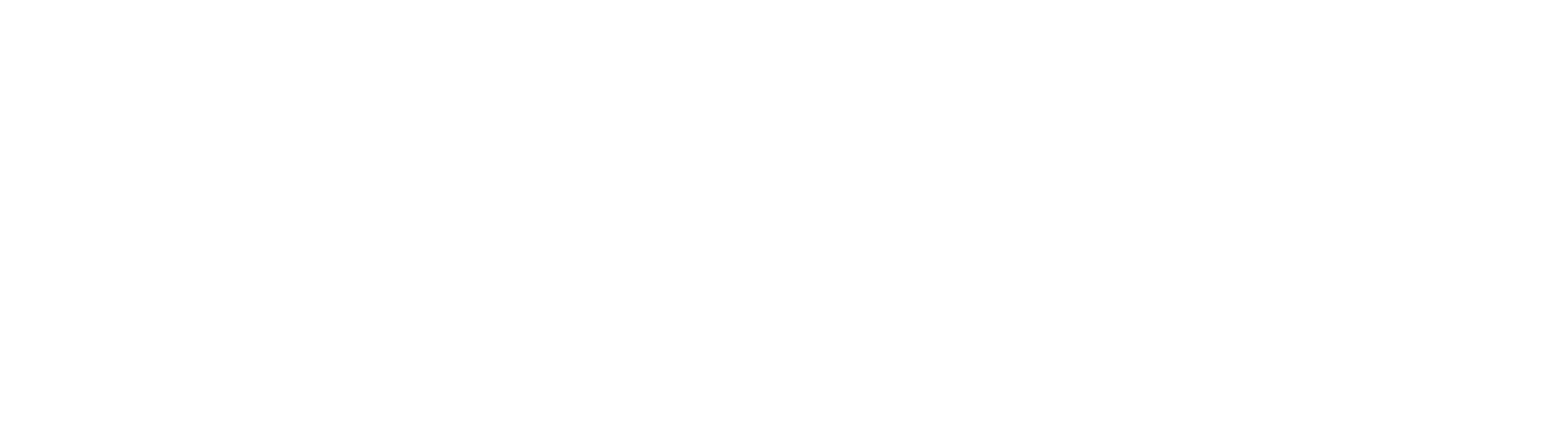 Erste Bank Polska logo fulle size on a dark background (transparent PNG)