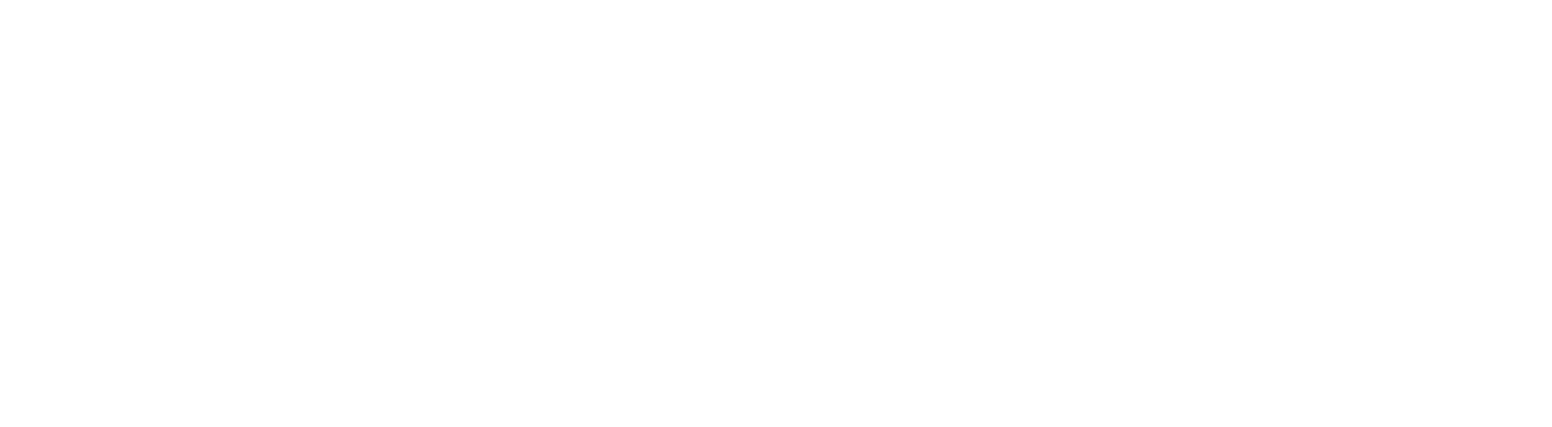 eClerx Services Logo groß für dunkle Hintergründe (transparentes PNG)