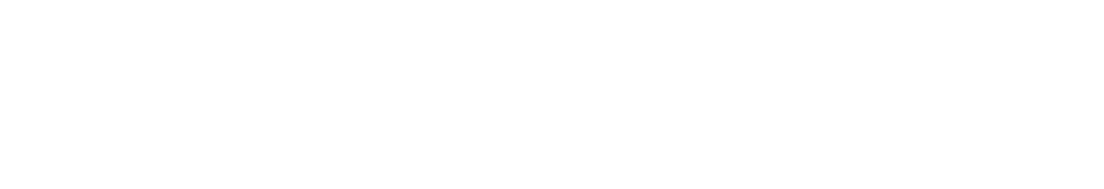 Euronet Worldwide
 logo large for dark backgrounds (transparent PNG)