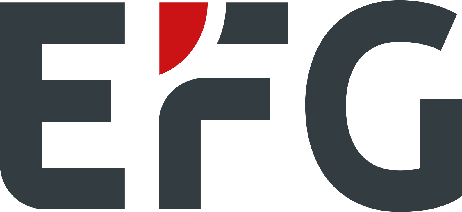 EFG International Logo (transparentes PNG)