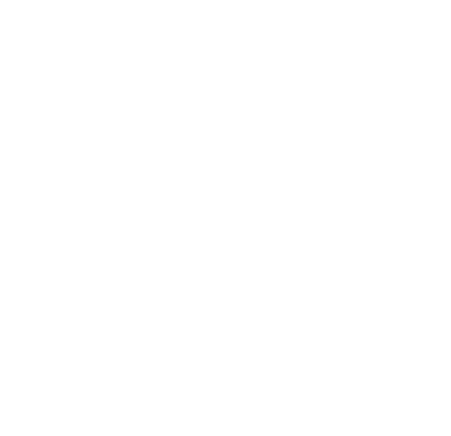 Energy Focus logo for dark backgrounds (transparent PNG)