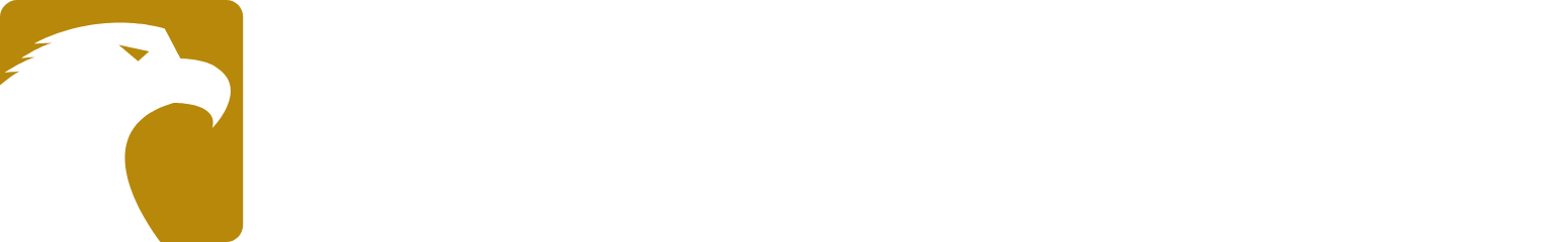Eagle Bancorp Logo groß für dunkle Hintergründe (transparentes PNG)