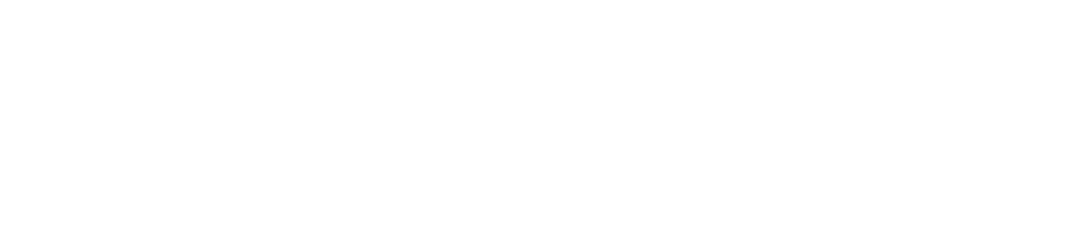 Everest Group logo large for dark backgrounds (transparent PNG)