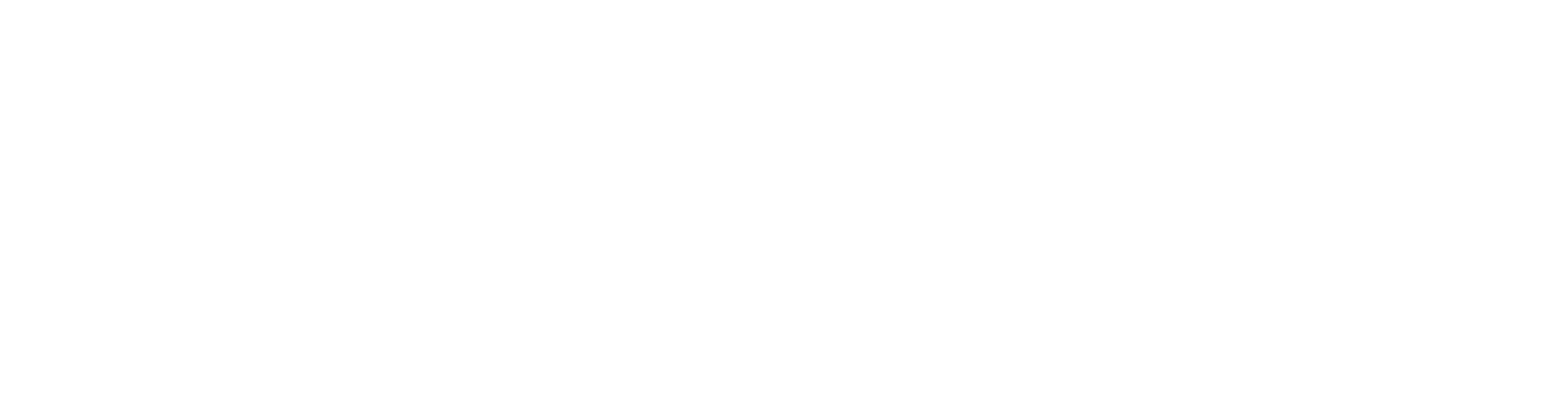 HealthSouth
 logo grand pour les fonds sombres (PNG transparent)