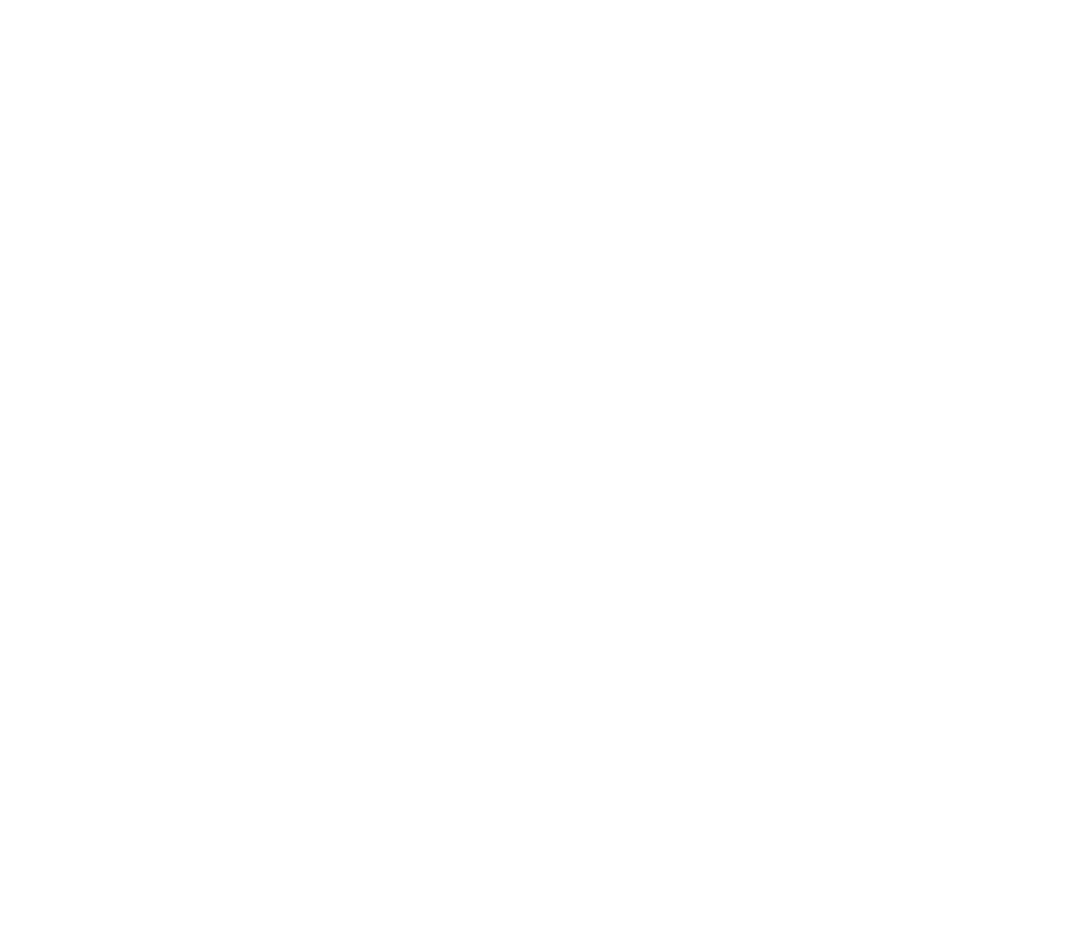 Einhell Germany logo pour fonds sombres (PNG transparent)