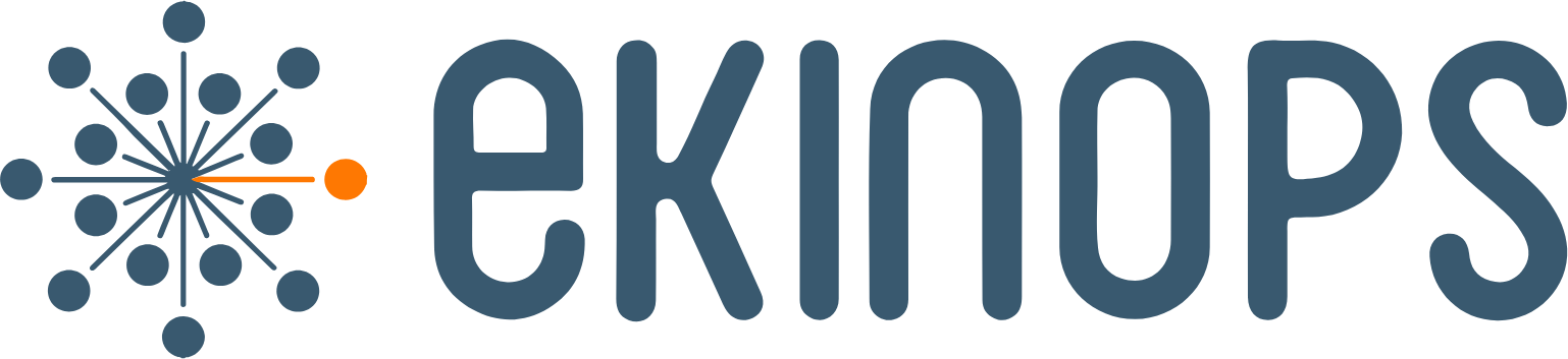 Ekinops logo large (transparent PNG)