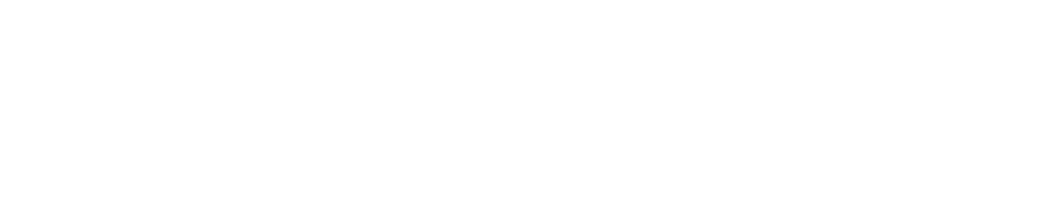 Endesa logo large for dark backgrounds (transparent PNG)