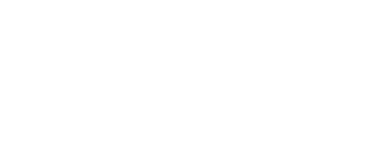Elevance Health logo large for dark backgrounds (transparent PNG)