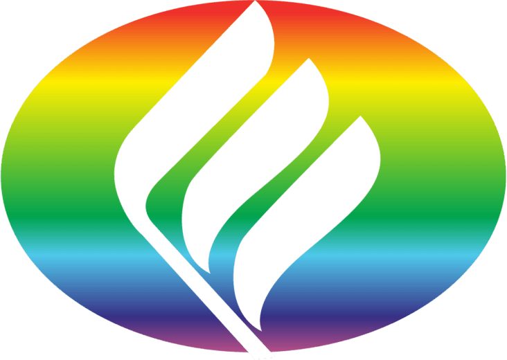 Emami logo (transparent PNG)