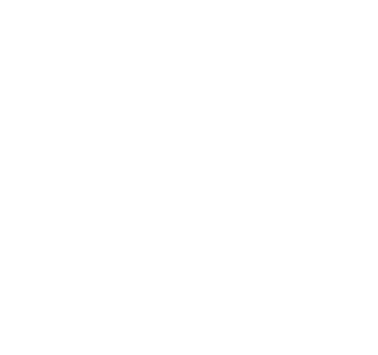 EMEIS Logo groß für dunkle Hintergründe (transparentes PNG)