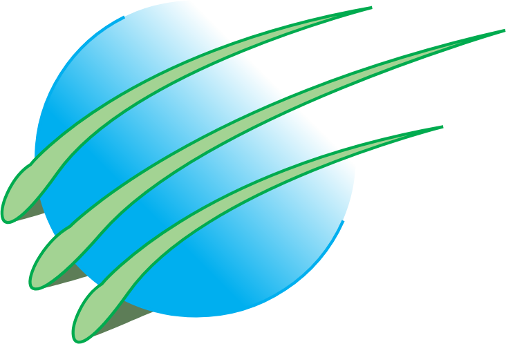 Emirates Central Cooling Systems logo (transparent PNG)