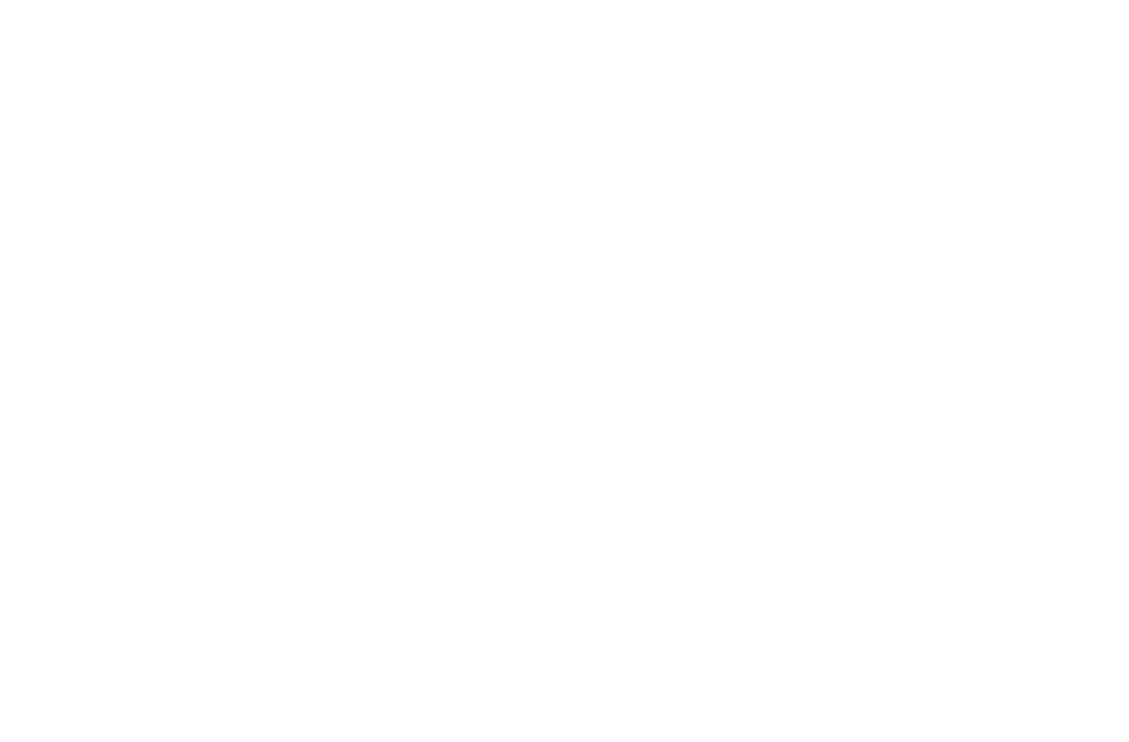 ENAV logo pour fonds sombres (PNG transparent)