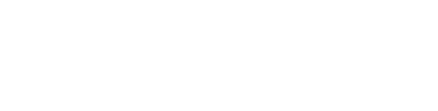 ENAV logo grand pour les fonds sombres (PNG transparent)