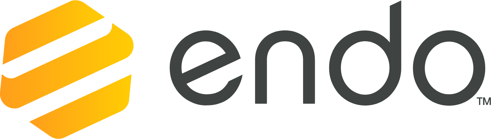 Endo International
 logo large (transparent PNG)