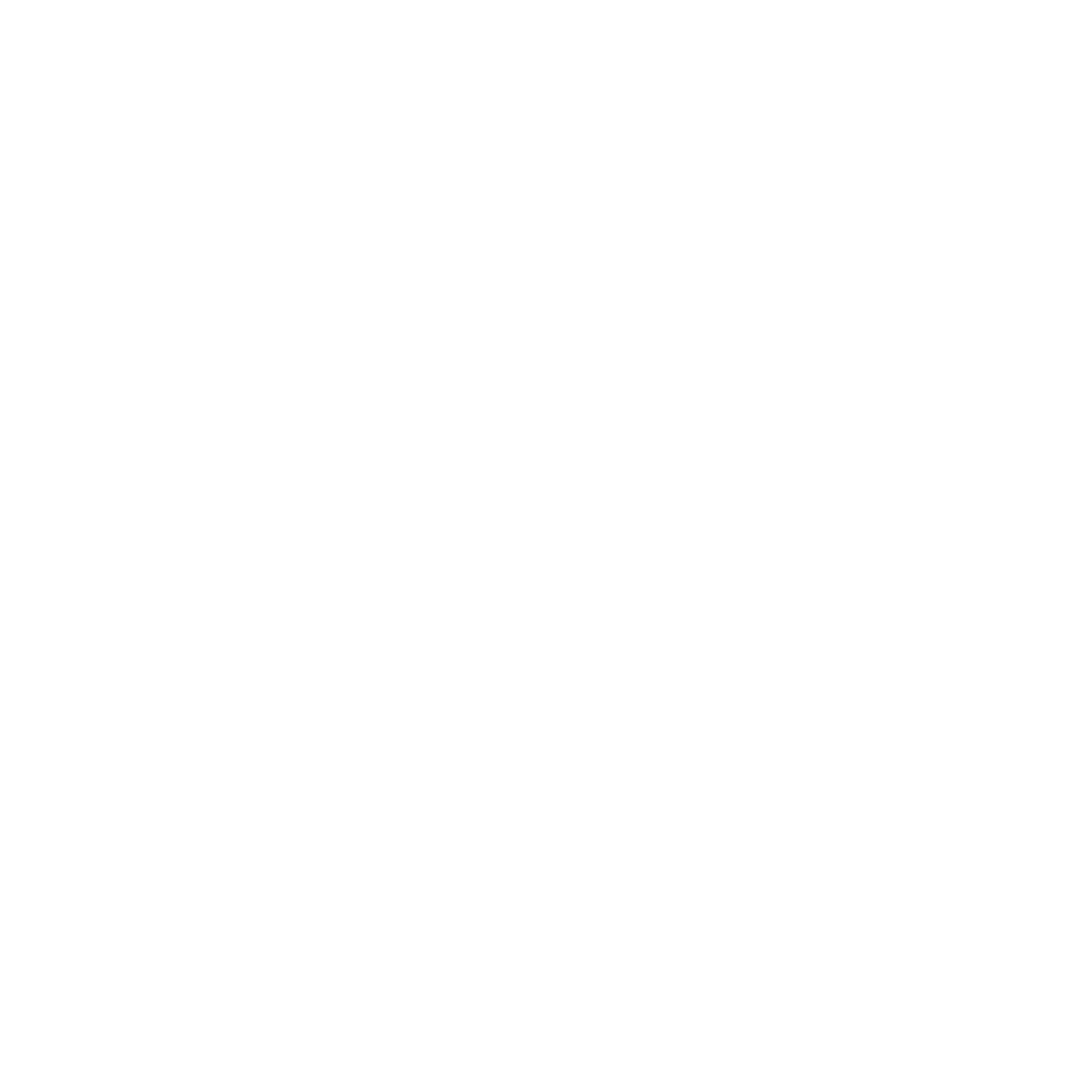 Enron Logo für dunkle Hintergründe (transparentes PNG)