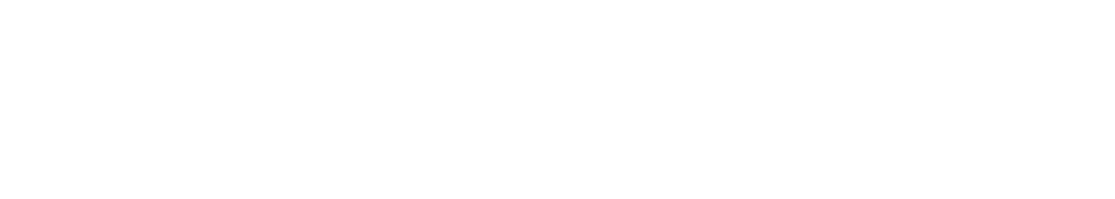 Enphase Energy
 logo large for dark backgrounds (transparent PNG)