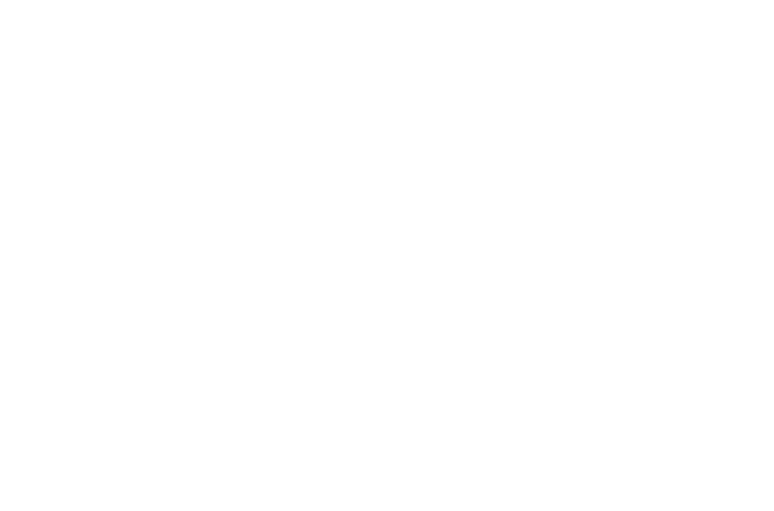Energizer Holdings
 logo pour fonds sombres (PNG transparent)