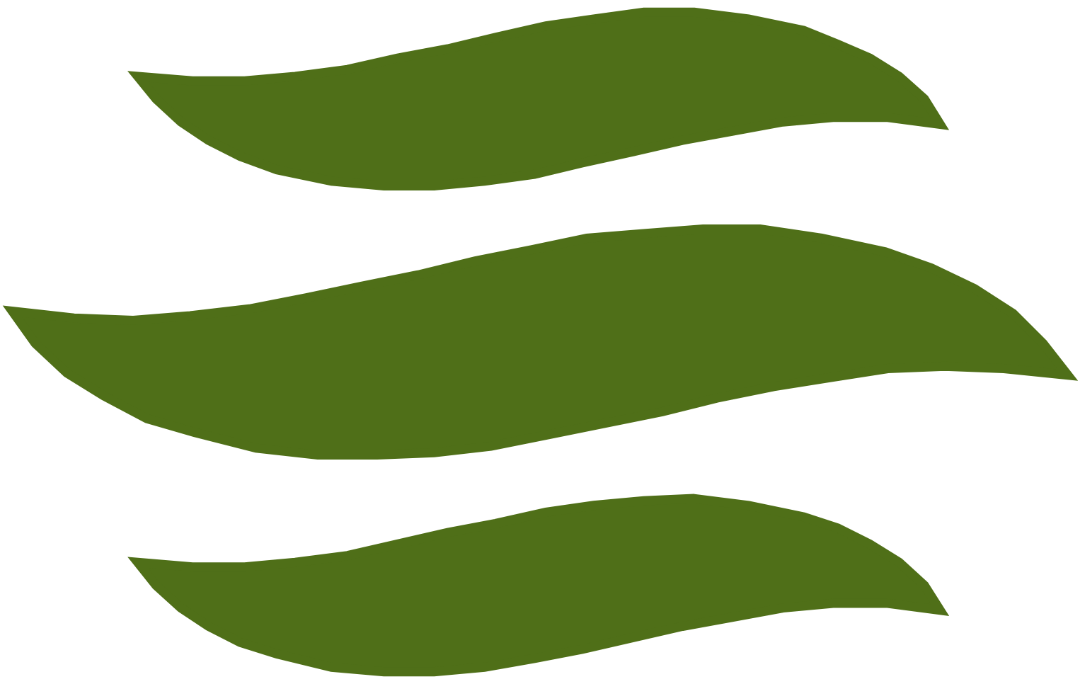 The Ensign Group logo (transparent PNG)
