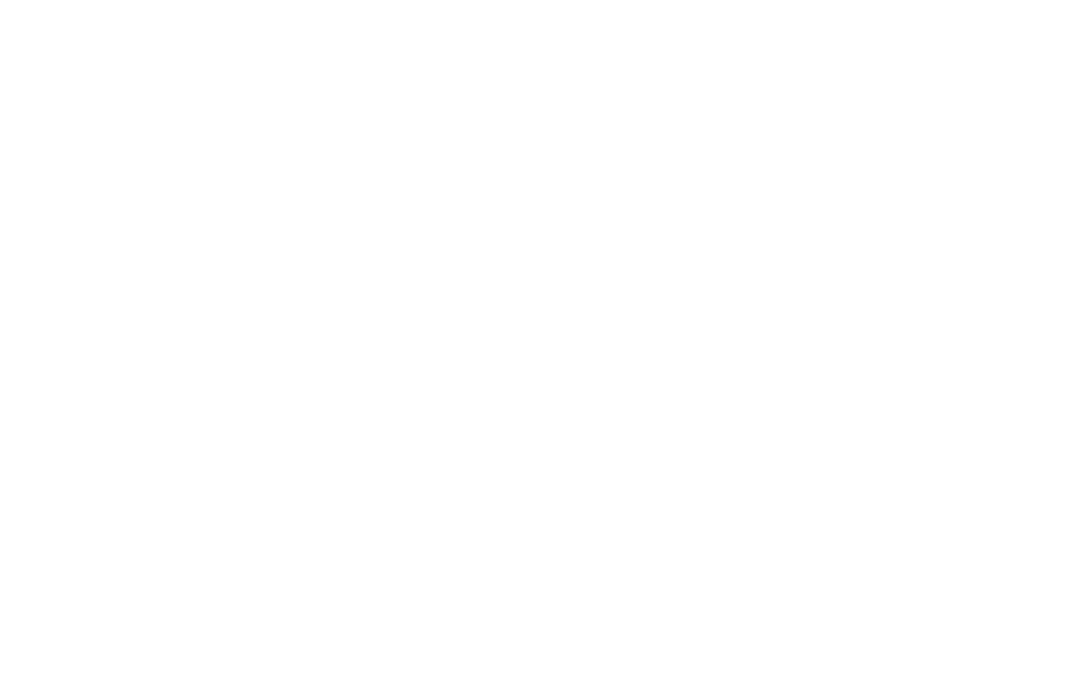 The Ensign Group logo for dark backgrounds (transparent PNG)