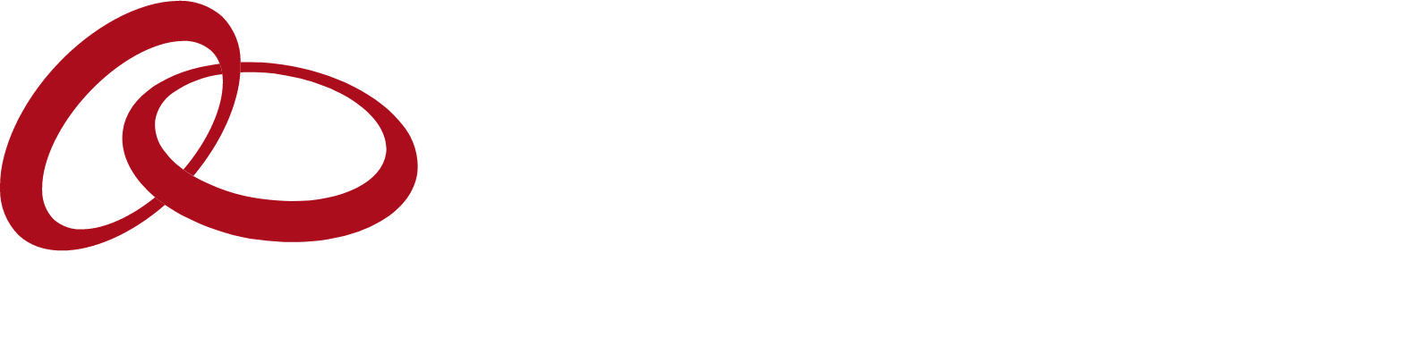 Entegris logo large for dark backgrounds (transparent PNG)