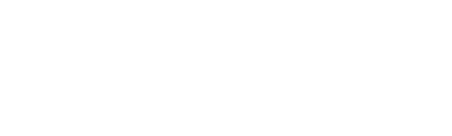 Enova International
 Logo groß für dunkle Hintergründe (transparentes PNG)