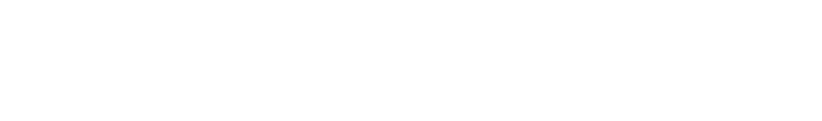 Enovix Logo groß für dunkle Hintergründe (transparentes PNG)